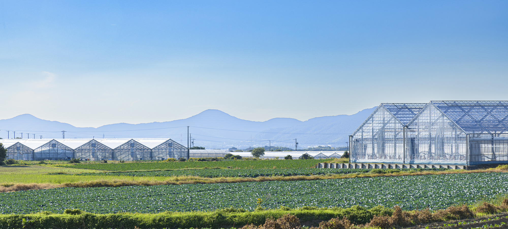 ミナワ工業株式会社