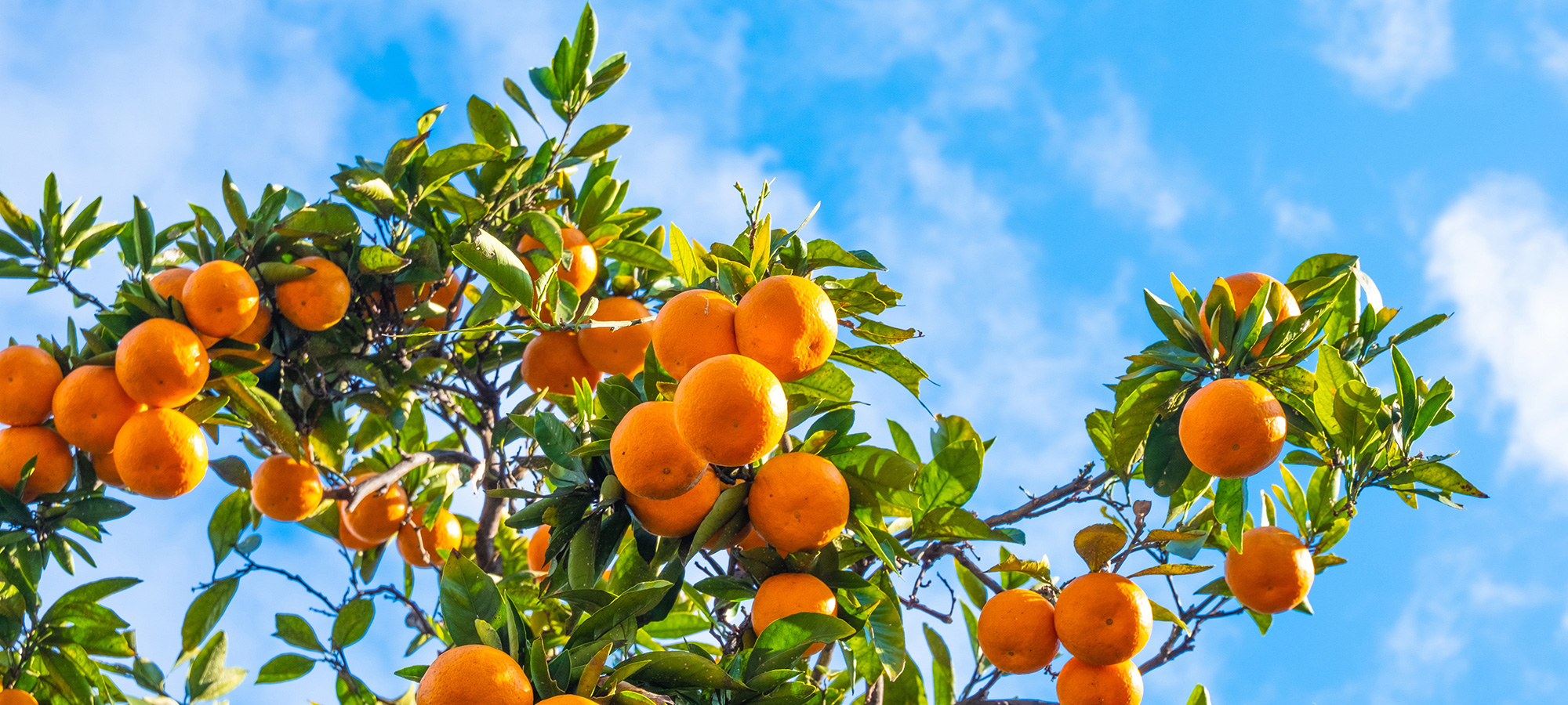 ミナワ工業株式会社