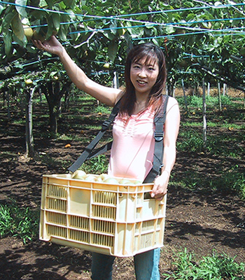 果物・野菜収穫用ツール ラクベルト（ぶどう収穫・剪定用）｜ミナワ工業